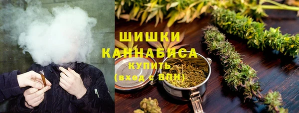 тгк Горно-Алтайск