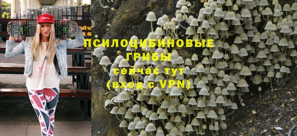 прущая мука Белокуриха